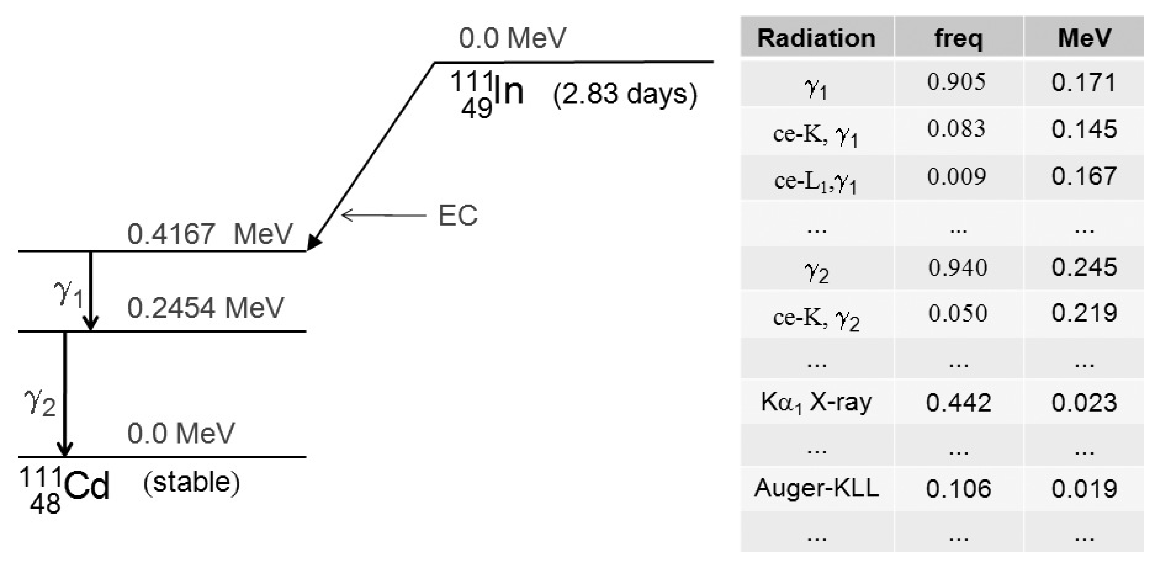 Decay scheme of ^{111}In, by electron capture. The scheme is dominated by the emission of two gamma rays (171 and 245 keV). These gamma rays can be involved in production of conversion electrons. A more complete table is given in .