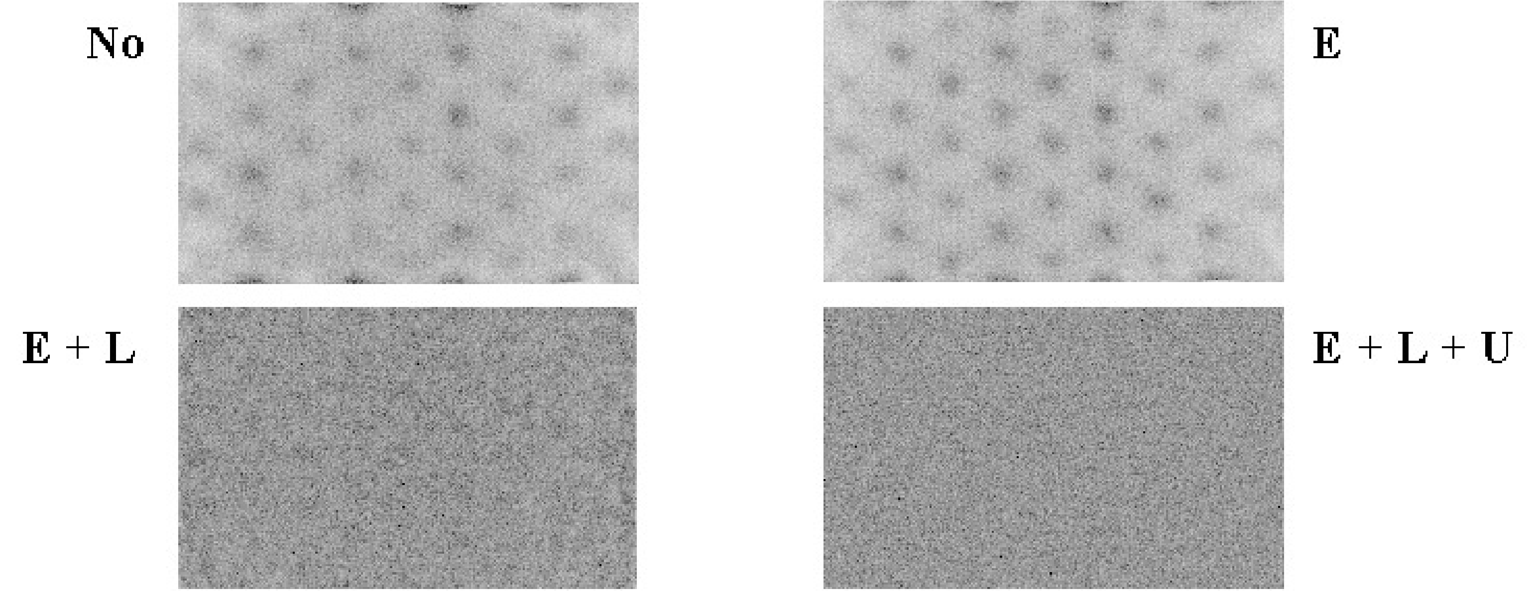 Image of a uniform phantom. E = energy correction, L = linearity correction, U = uniformity correction.