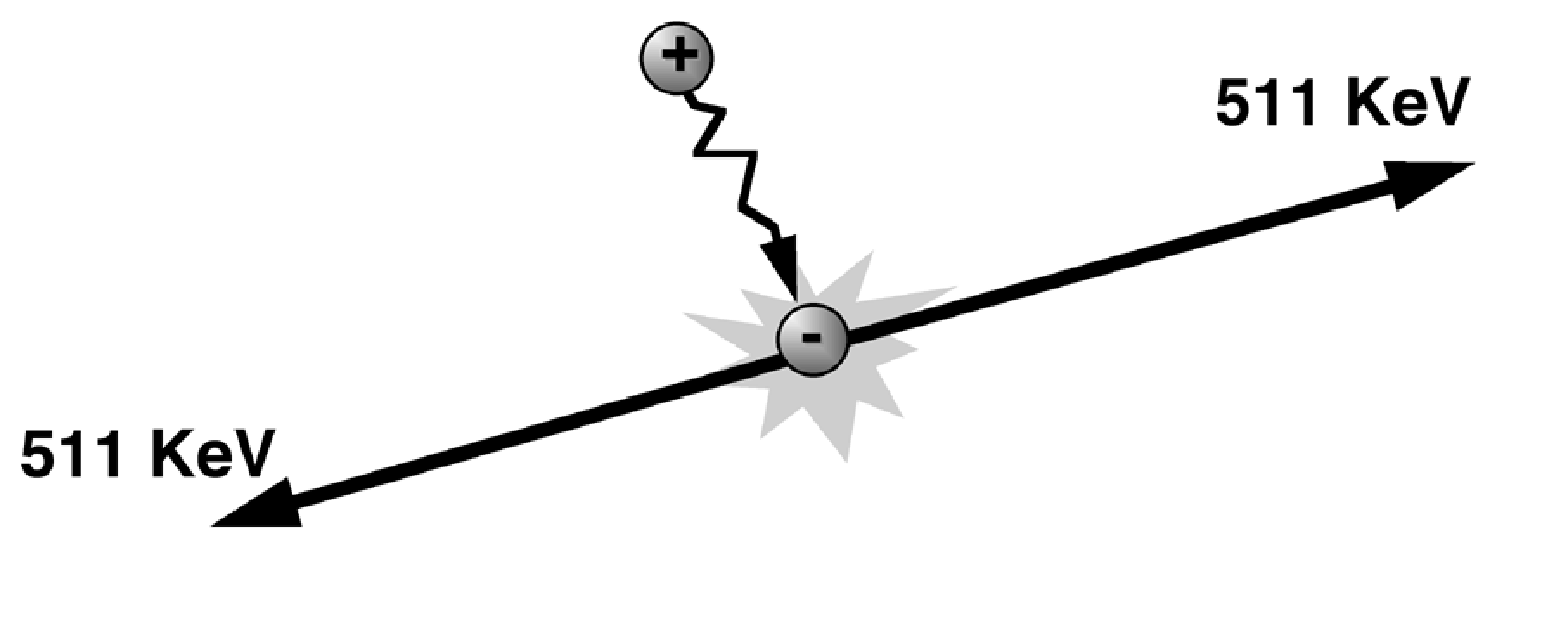 Positron-electron annihilation.