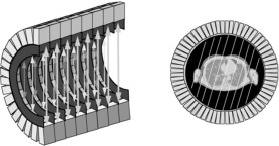 Raw PET data can be organized in parallel projections, similar as in the gamma camera.