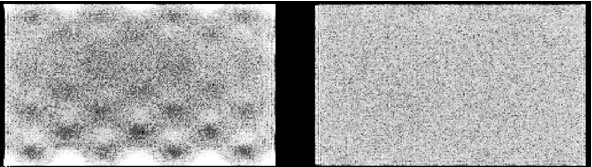 Flood source (= uniform sheet source) image acquired on a dual head gamma camera, with a linearity correction problem in head 1 (left)