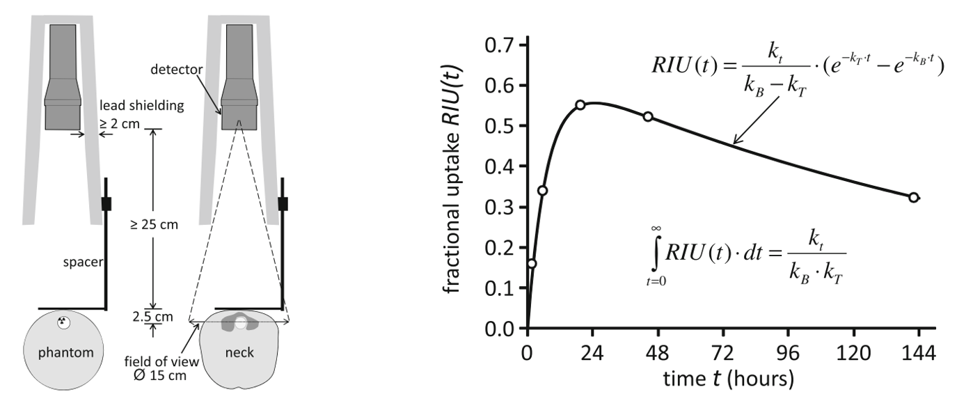 Thyroid therapy with ^{\it{131}}I. At different time points, activity measurements are done with a simple detector, calibrated with a phantom. A tracer kinetic model is applied to estimate the time activity curve from a few measurements. The figures are from . (RIU(t) denotes fractional ^{\it{131}}I uptake in the target tissue at time t, and k_t, k_B and k_T are time constants of the kinetic model.)